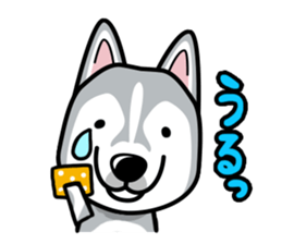 iinu - Siberian Husky sticker #8981767