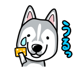 iinu - Siberian Husky sticker #8981767