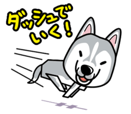 iinu - Siberian Husky sticker #8981768