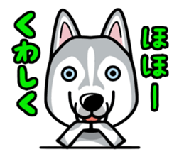 iinu - Siberian Husky sticker #8981769