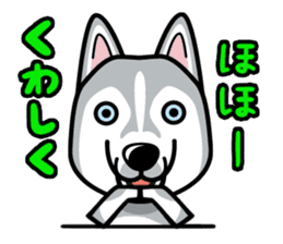 iinu - Siberian Husky sticker #8981769