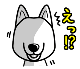 iinu - Siberian Husky sticker #8981771