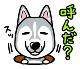 iinu - Siberian Husky sticker #8981774