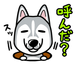 iinu - Siberian Husky sticker #8981774