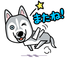 iinu - Siberian Husky sticker #8981775