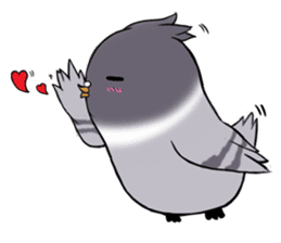 Pigeon Love love (ENG) sticker #8993129