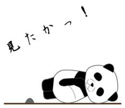Expressionless surreal panda sticker #8993931