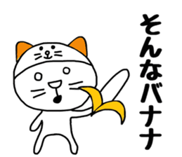 Nekokaburi Neko3 sticker #8999148