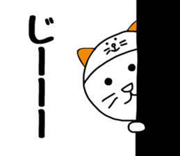 Nekokaburi Neko3 sticker #8999174