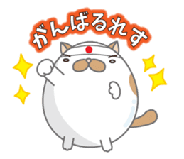 tamagonaneko 3rd sticker #8999303