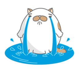 tamagonaneko 3rd sticker #8999309