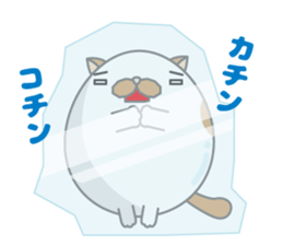 tamagonaneko 3rd sticker #8999319