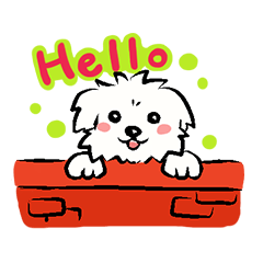 Happy Cotonese (English Ver.)