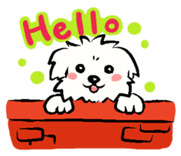 Happy Cotonese (English Ver.) sticker #8999736