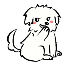 Happy Cotonese (English Ver.) sticker #8999737