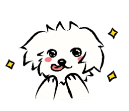 Happy Cotonese (English Ver.) sticker #8999747