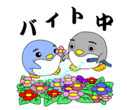 kanpaku-penguin3 sticker #8999778