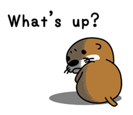 Otter poppa (English) sticker #9000043