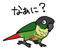 Scales parakeet Sticker sticker #9001303