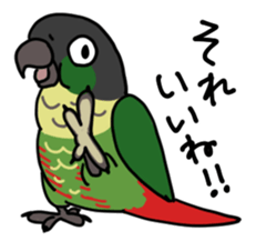 Scales parakeet Sticker sticker #9001307