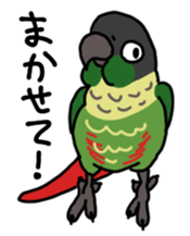 Scales parakeet Sticker sticker #9001315