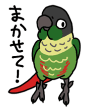 Scales parakeet Sticker sticker #9001315