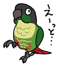Scales parakeet Sticker sticker #9001318