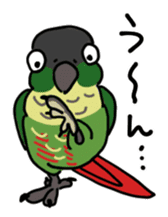 Scales parakeet Sticker sticker #9001322