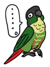 Scales parakeet Sticker sticker #9001323
