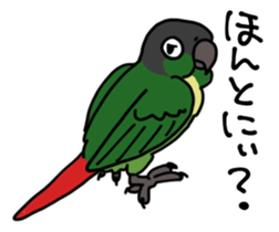 Scales parakeet Sticker sticker #9001324