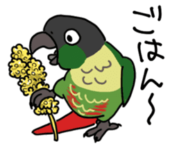 Scales parakeet Sticker sticker #9001328