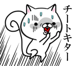 fcf squirrel sticker #9002630