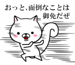 fcf squirrel sticker #9002634