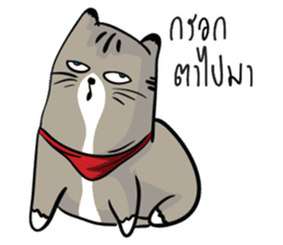 BILLY CAT sticker #9006026
