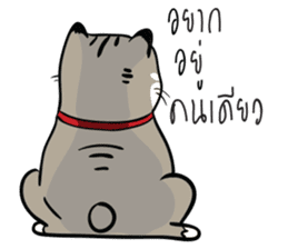 BILLY CAT sticker #9006034