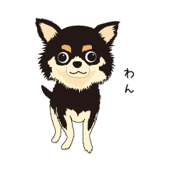 The Chihuahua Pea-suke