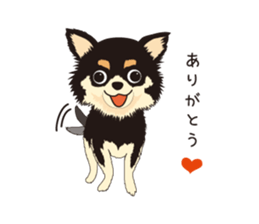 The Chihuahua Pea-suke sticker #9009861