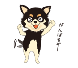 The Chihuahua Pea-suke sticker #9009863