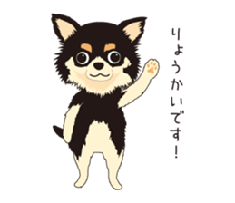 The Chihuahua Pea-suke sticker #9009864