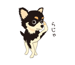 The Chihuahua Pea-suke sticker #9009865