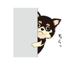 The Chihuahua Pea-suke sticker #9009869