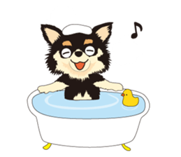 The Chihuahua Pea-suke sticker #9009895