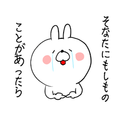 The smile of rabbit 5