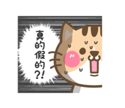 Cute cat's debut sticker #9010350