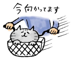 SEKANEKO x Lazy Nyansuke collaboration sticker #9010731