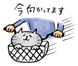 SEKANEKO x Lazy Nyansuke collaboration sticker #9010731