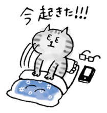 SEKANEKO x Lazy Nyansuke collaboration sticker #9010736