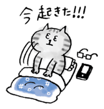 SEKANEKO x Lazy Nyansuke collaboration sticker #9010736