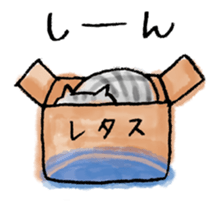 SEKANEKO x Lazy Nyansuke collaboration sticker #9010755