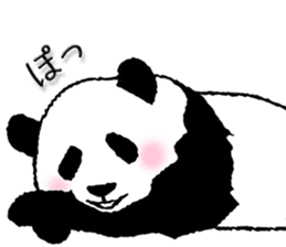 Pandan4.1 sticker #9011905